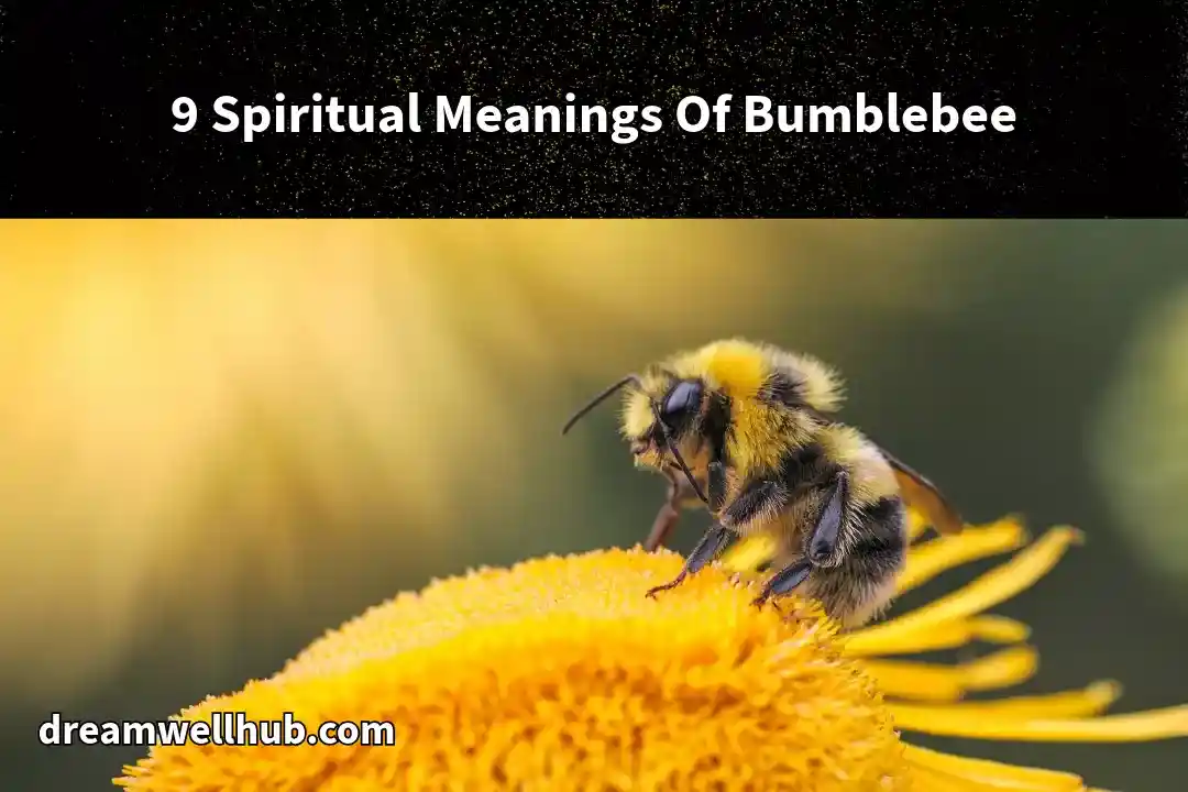 Spiritual Meanings Of Bumblebee
