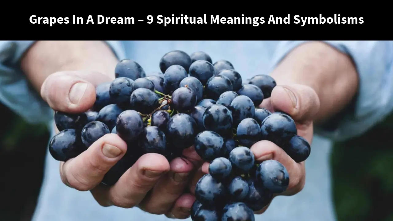 Spiritual meaning of grapes in a dream
