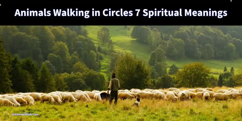 Animals Walking in Circles 7 Spiritual Meaning