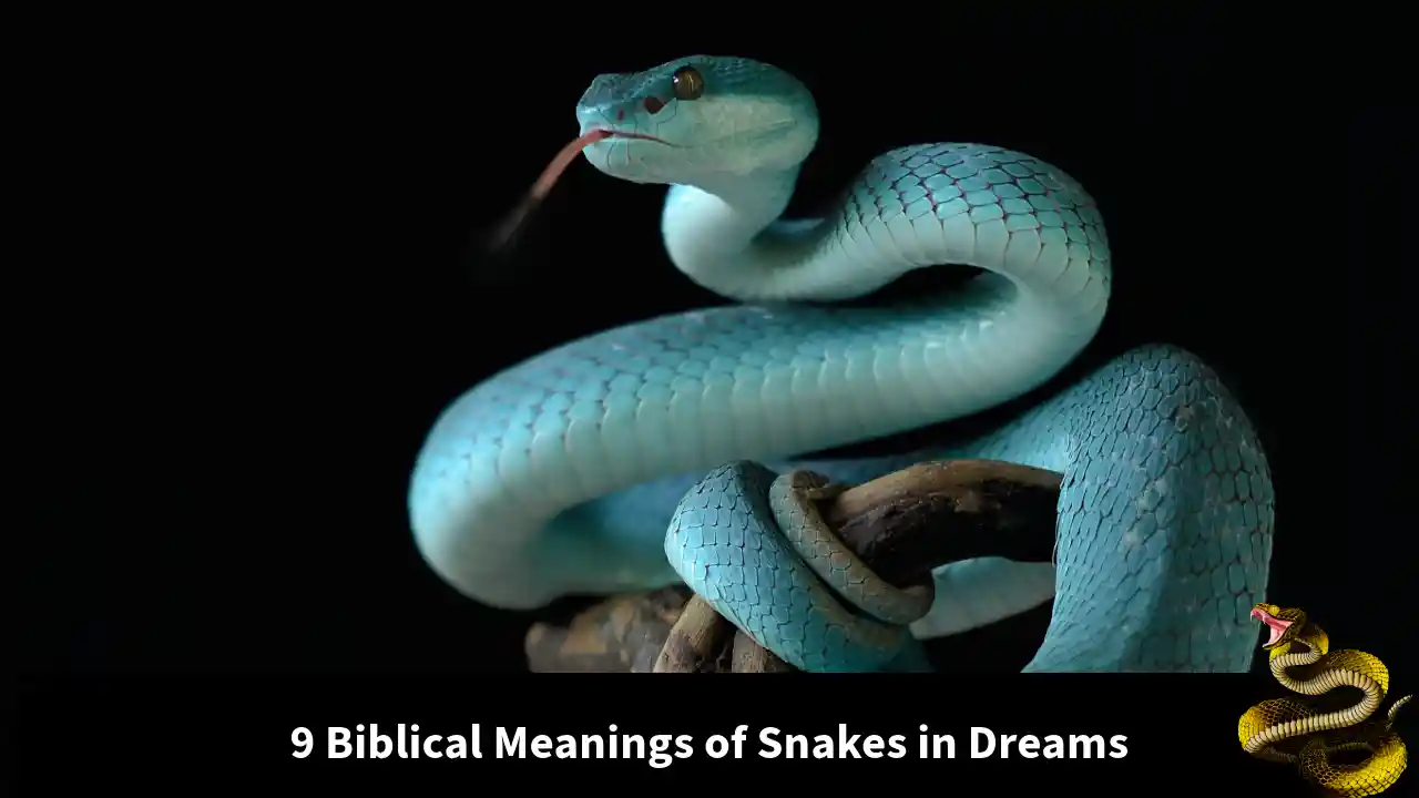 Biblical Meanings of Snakes in Dreams