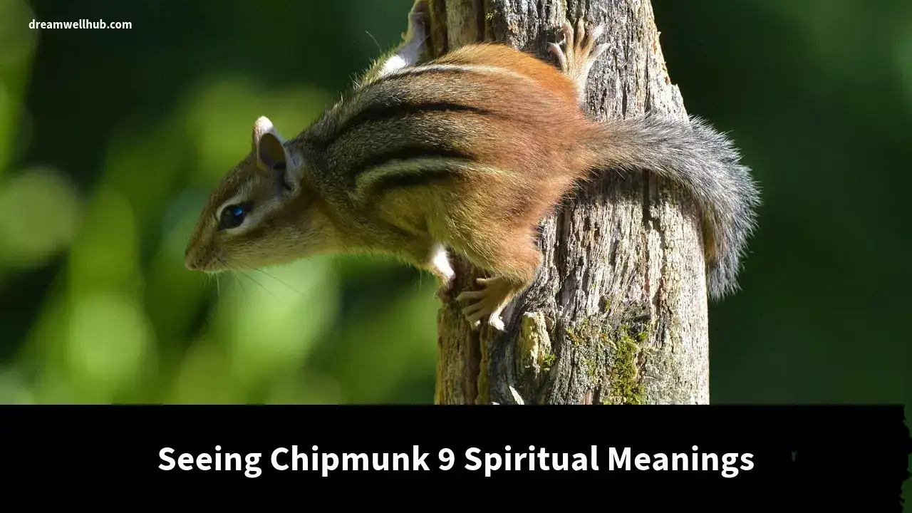 Spiritual Meaning of Seeing Chipmunk