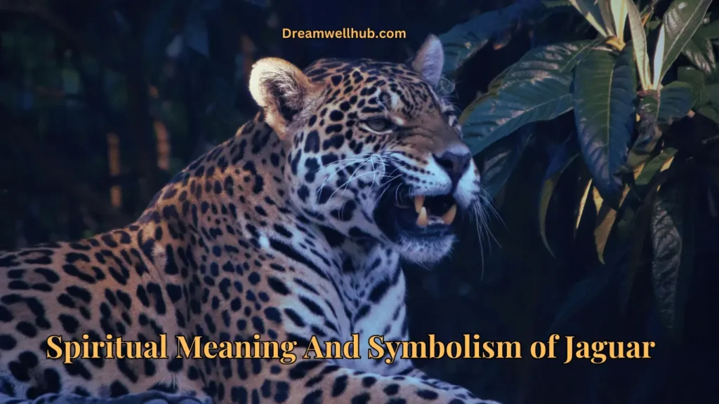 5 Spiritual Meaning and Symbolism of Jaguar
