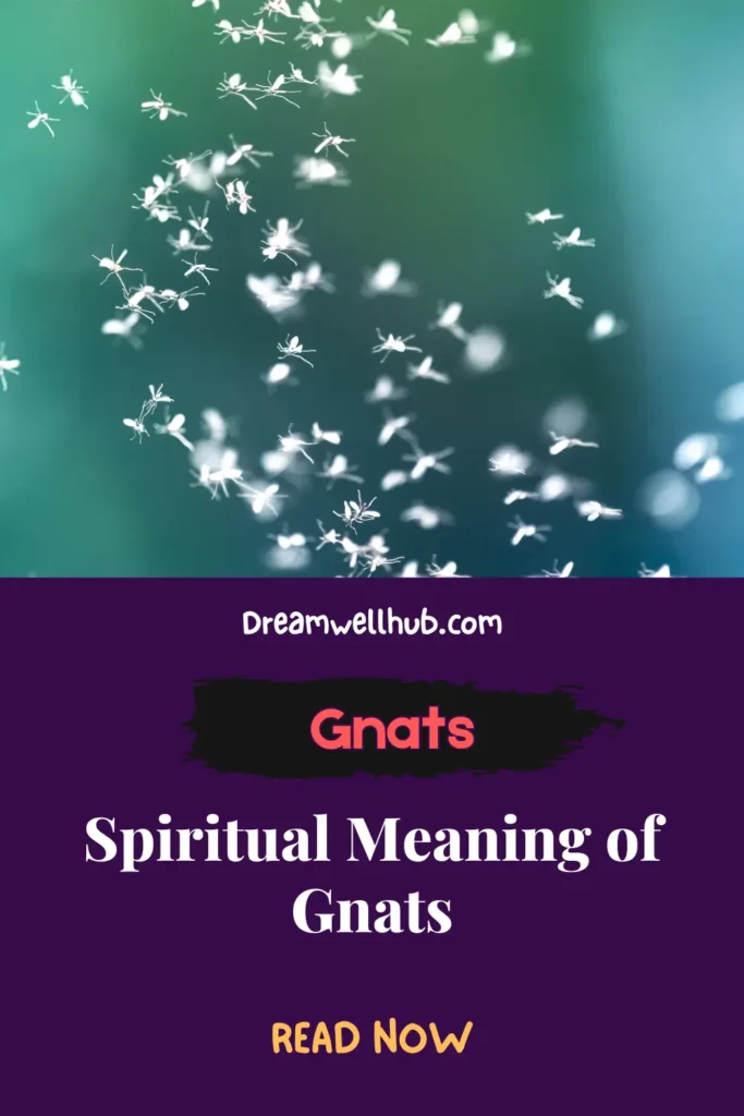 gnats 7 Spiritual Meanings and Interpretations