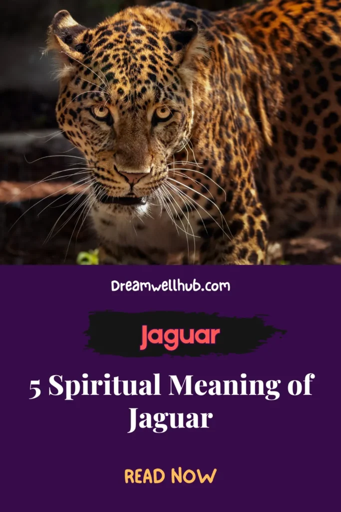 5 Spiritual Meaning and Symbolism of Jaguar
