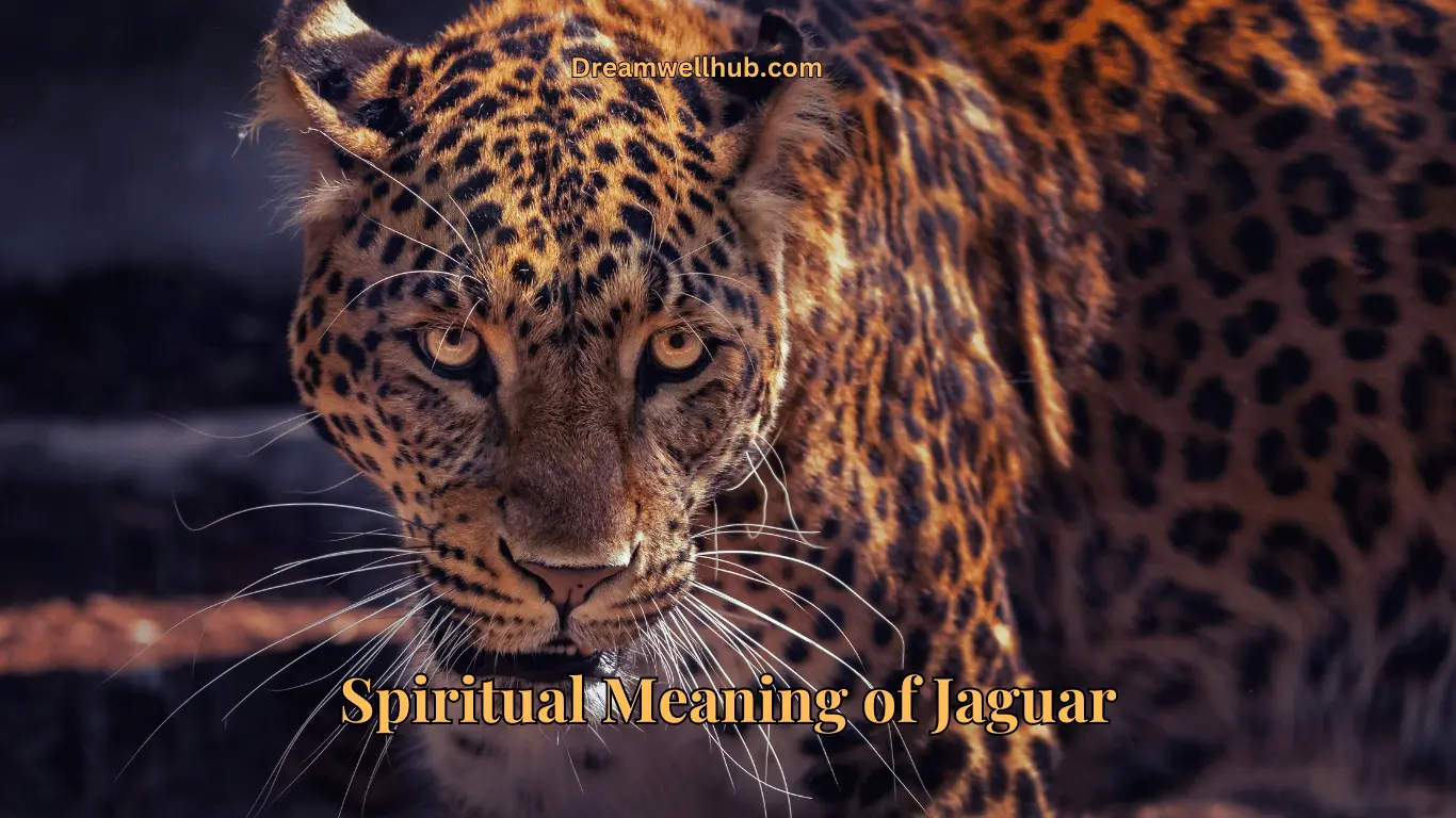 Jaguar Spiritual Meaning