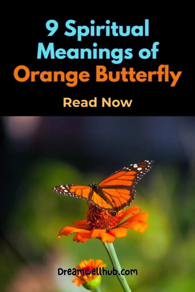 9 Spiritual Meanings of Seeing an Orange Butterfly