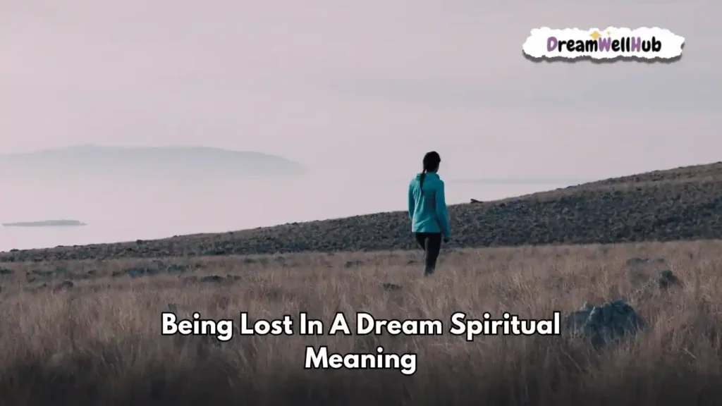Being Lost In a Dream Meaning