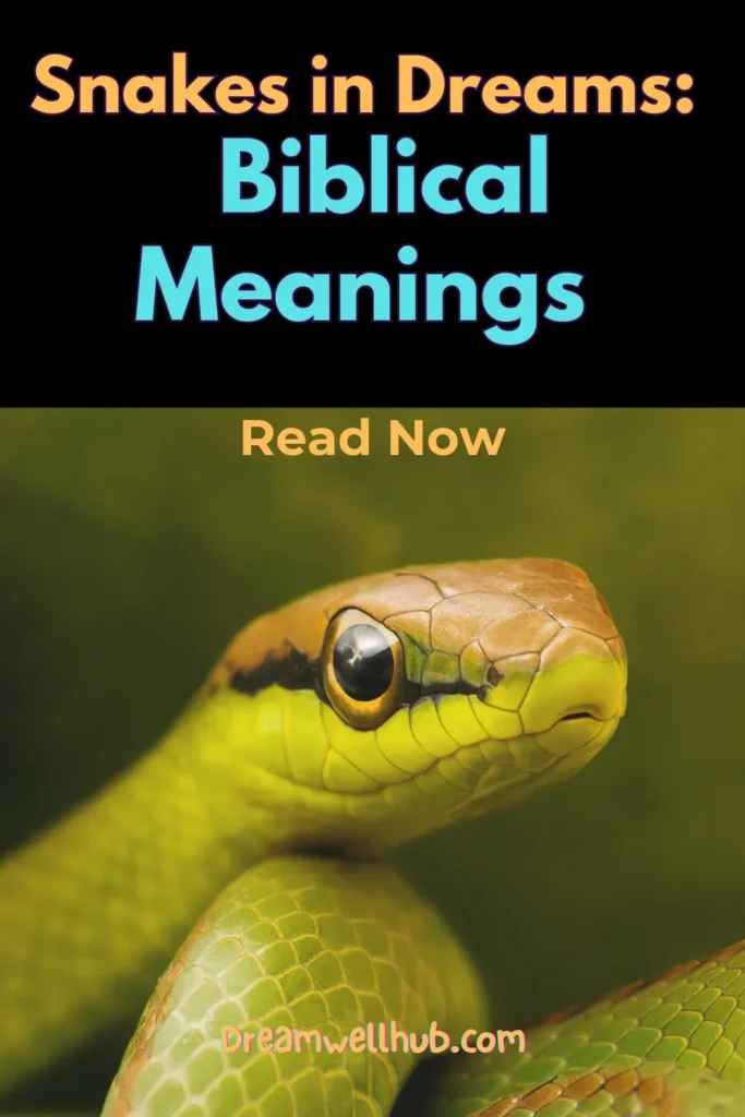 Biblical Meanings of Snakes in Dreams 9 Scenarios