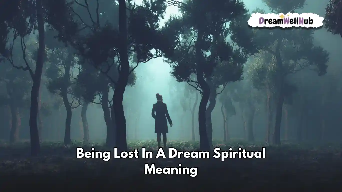 Being Lost In a Dream Meaning