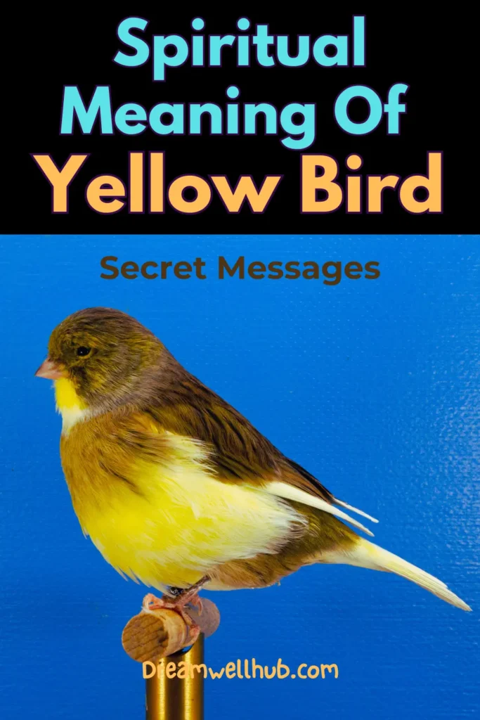 Spiritual Meanings of Seeing a Yellow Bird