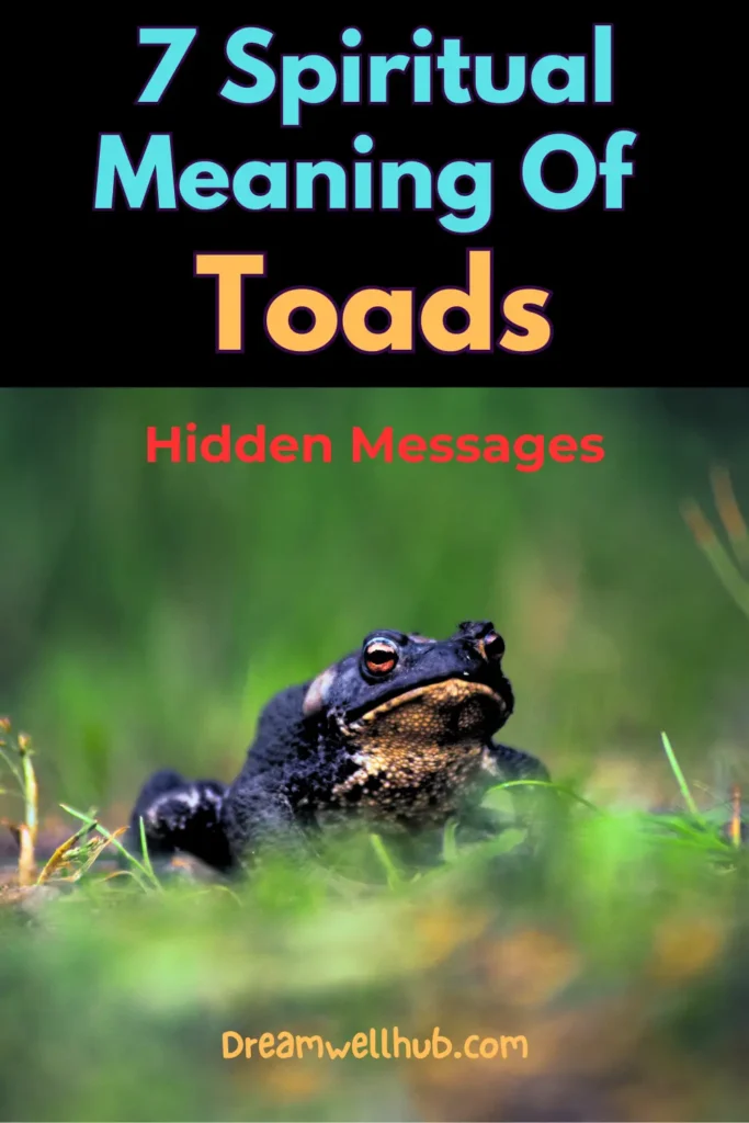 See Toads 7 Spiritual Meanings