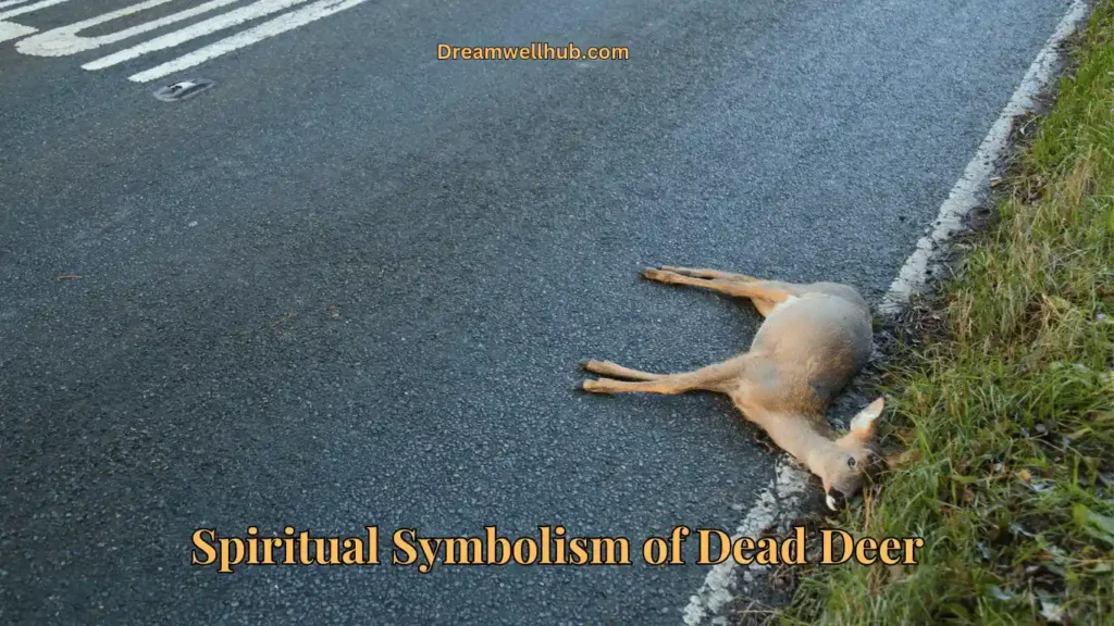 dead deer spiritual meaning