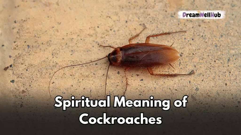 Spiritual Meaning of Cockroaches